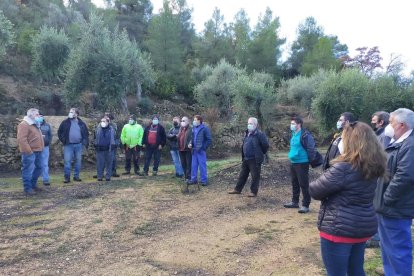 Varios payeses en la finca sin ayudas que Jordà visitó para comprobar los daños del temporal.