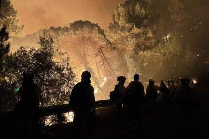 Unos 250 efectivos de los bomberos trabajaban ayer para tratar de sofocar las llamas.