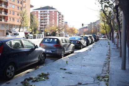 A punto el nuevo carril bici en un tramo del Passeig de Ronda de Lleida.