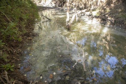 La sequera converteix la riera de Llanera en un desaigüe d'aigües fecals