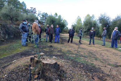 Pagesos de Bovera reunits dimecres en una finca afectada.