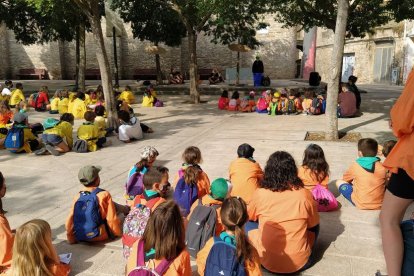 Centros educativos, Agrupament Escolta, entidades y voluntarios participaron en la recogida. 