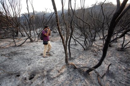 El incendio de Sierra Bermeja sigue sin control y ya quema 3.600 ha