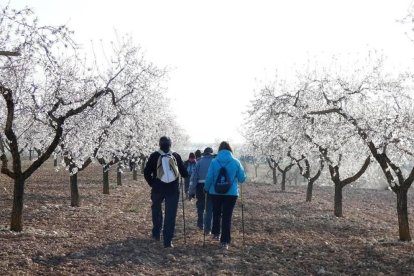 Les Borges acollirà l'11a Jornada de l'Ametller