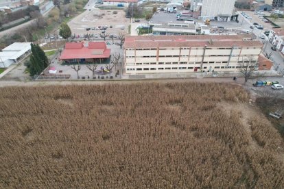 Imagen de la finca en la que se observan los daños.