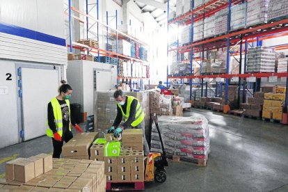 Operaris treballant a la seu del Banc dels Aliments de Lleida en una imatge d'arxiu.