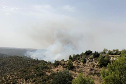 El incendio de la Pobla de Massaluca afecta al espacio protegido de Riba-Roja