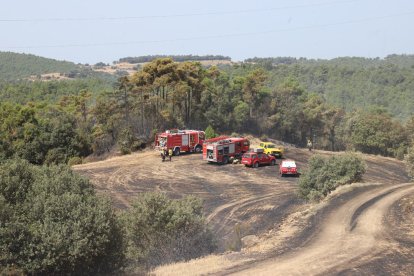 Bomberos en el incendio de vegetación que se originó ayer de madrugada en Vilaplana, núcleo de la Baronia de Rialb. 