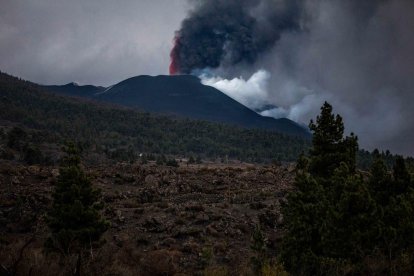 El volcà de Cumbre Vieja, fotografiat ahir.