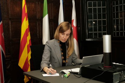 El Consell d'Europa revisarà si la decisió del Suprem sobre la immersió vulnera la Carta de Llengües Minoritàries