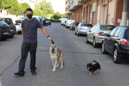 Un vecino de Lleida pasea junto a sus dos perros.