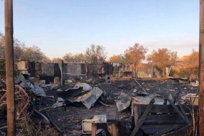 El foc a la protectora de la Mata de Pinyana calcina la zona de cures