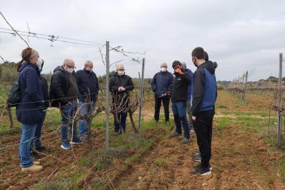 Formació professional a les Garrigues