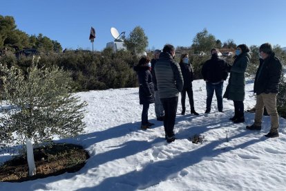 Marta Vilalta visitó ayer pueblos de Les Garrigues. 