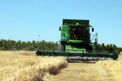 El sector agrario de la provincia creció un 0,5% el año pasado.