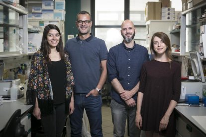 Valentina Maria Zinna, Salvador Aznar Benitah, Patrick Welz y Inés Marín Guillén, de l'IRB Barcelona.