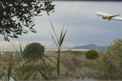 Un avió sobrevola la finca de la Ricarda, veïna de l’aeroport.