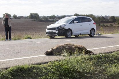 Imagen de archivo de un accidente con un jabalí en la Segarra. 