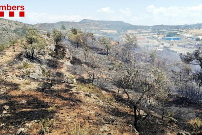 Els Bombers treballen en dos incendis de vegetació agrícola a Artesa de Segre i Gratallops