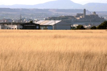 El Grup Alba de Tàrrega ha fabricat les caixes niu per a les zepes del regadiu.