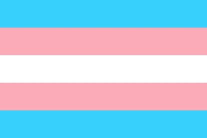 Bandera del orgullo trans