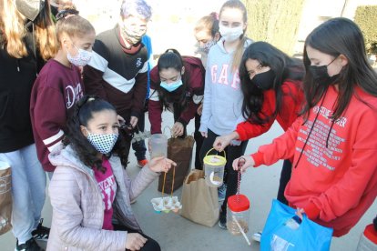 Comederos para las aves en Linyola hechos por los alumnos de El Sitjar 