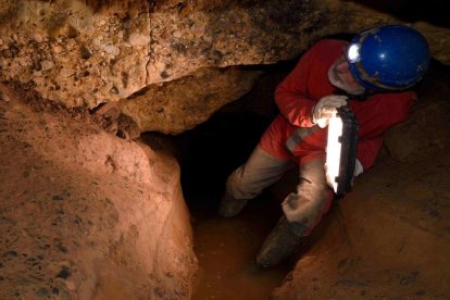 Un arqueòleg a la recerca de gravats rupestres a la cova de la Font Major de l’Espluga de Francolí.