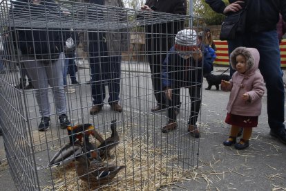 Expectación infantil. Los niños fueron los que más disfrutaron de la jornada observando los animales expuestos.