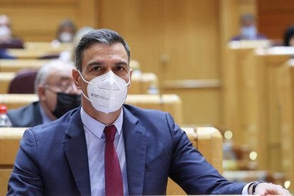 El presidente del gobierno Pedro Sánchez, durante la última sesión de control al gobierno en el Senado.