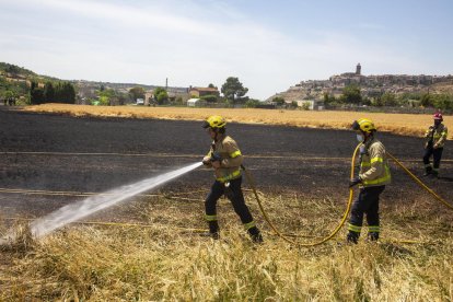 Bombers remullant la zona calcinada a Cervera ahir al migdia.