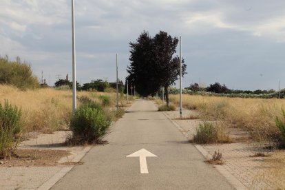 Els terrenys de Torre Salses, entre la Bordeta i Magraners, presenten ara aquest depriment aspecte.