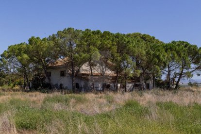 Una de les últimes cases de l'Horta que han estat okupades, ubicada a la partida de Torres de Sanui.