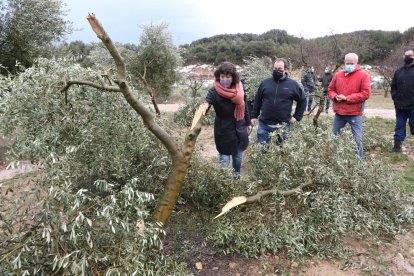 La consellera de Agricultura, Teresa Jordà, ayer, visitando un campo afectado por Filomena en Vinaixa.