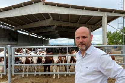 El presidente de Asoprovac, Ricard Gòdia, alerta de la crítica situación del vacuno de carne.