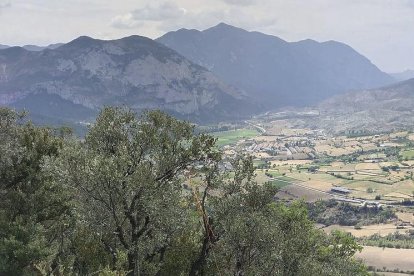 Imagen del parapente que llevaba el fallecido. 