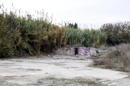 En el solar entre la Ll-11 y Josep Tarradellas ya no hay barracas. 