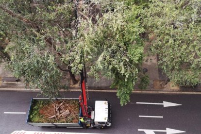 Vista de los trabajos ayer en la calle Doctora Castells