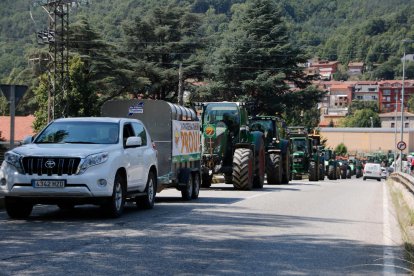 Multa de 5.500 euros a un payés por la muerte de 25 sapos