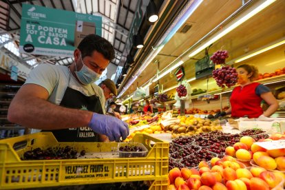 Imagen de un puesto de fruta en el inicio de la campaña de cerezas y albaricoques este verano.