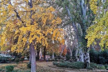 Jardí d’hivern