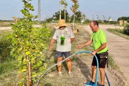 Els Amics i Amigues de la Banqueta reguen els arbres que ells mateixos van plantar.