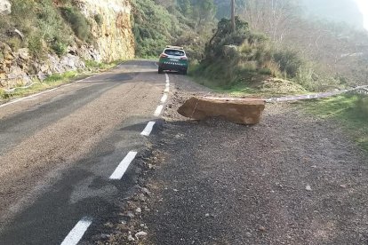 Una roca desprendida del talud en el que se actuará.