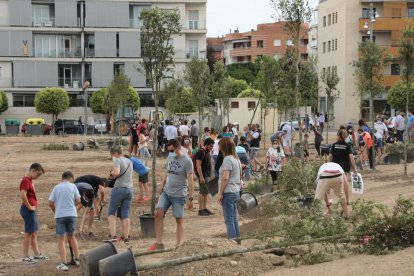 Vista general de los vecinos de Joc de la Bola plantando árboles en el solar de la calle Alcalde Pujol. 