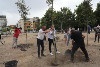 Vista general de los vecinos de Joc de la Bola plantando árboles en el solar de la calle Alcalde Pujol.