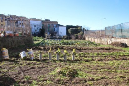 El solar acull en l’actualitat un hort de la família.