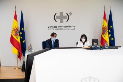 Illa y Darias en la reunión telemática del Consejo Interterritorial de Salud del 4 de enero.