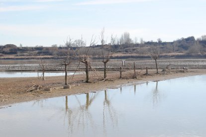 Inicien el procés d'ompliment de l'estany després de sanejar-lo