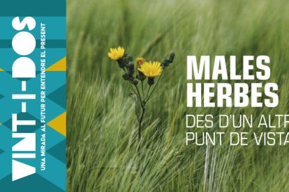 Tot el que podem aprendre de les males herbes, aquest diumenge a Vint-i-dos, GRATIS amb SEGRE