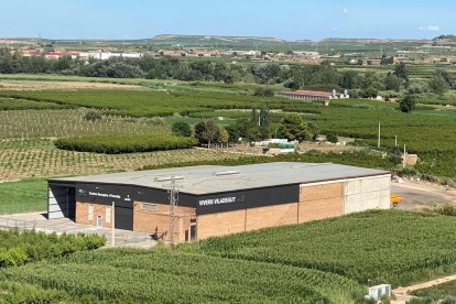 Una imagen del centro receptor de almendra, con capacidad para procesar 3 milllones de kg.