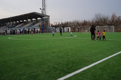 Foto d’arxiu de les instal·lacions del Mollerussa.